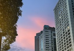 新加坡公司注冊(cè)類型選擇：私人有限公司與公眾公司的深度對(duì)比